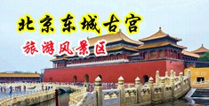 骚女舔骚逼中国北京-东城古宫旅游风景区