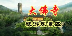 视频大鸡巴操大逼中国浙江-新昌大佛寺旅游风景区